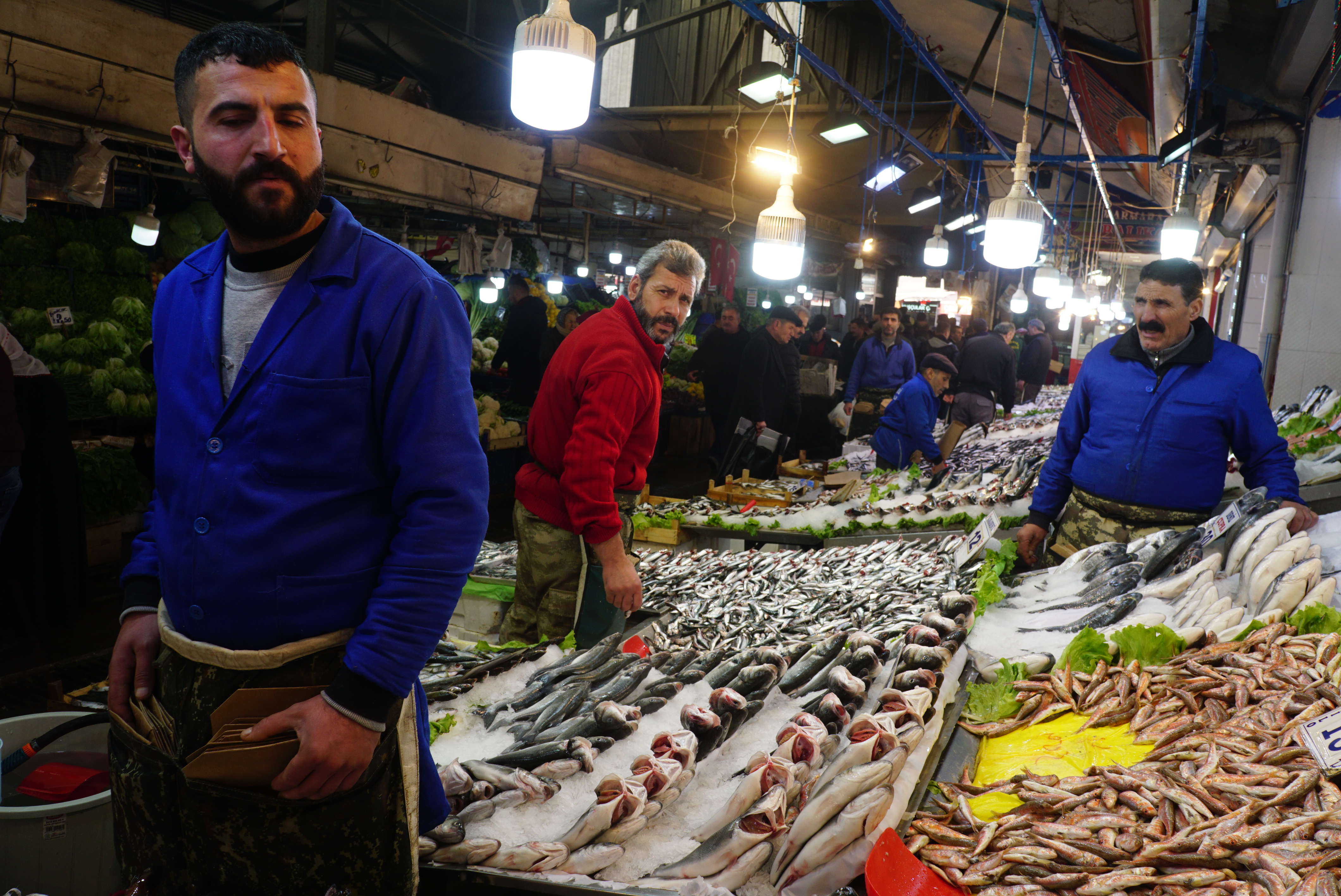 Ankara Hali'nde Balıkçılar
