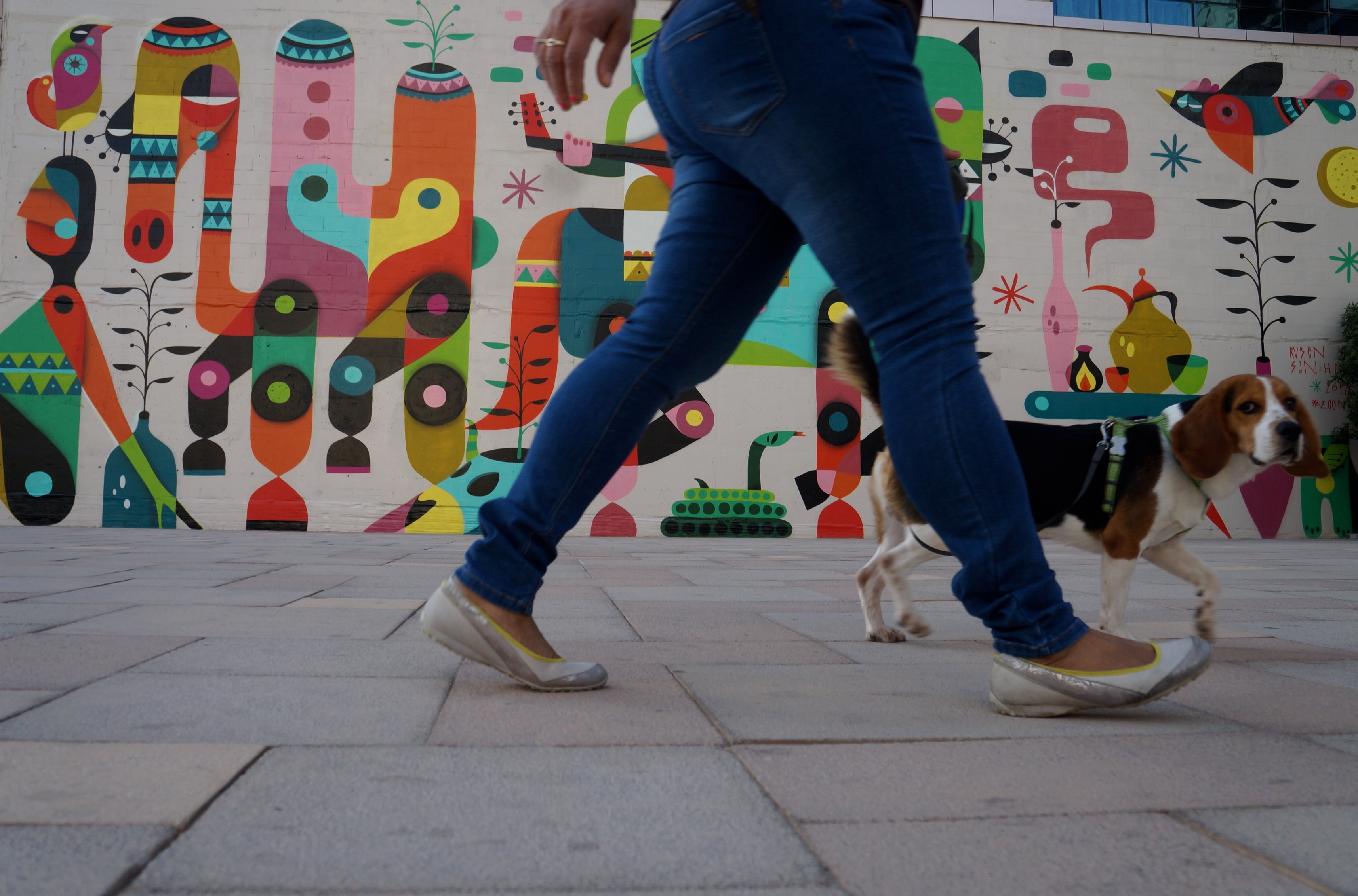 Köpek Gezdiren Kadın ve Duvar